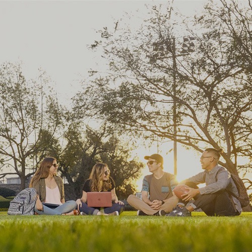 Students studying on lawn