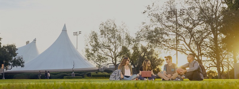 Students studying on lawn