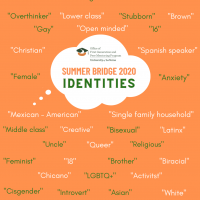 Summer Bridge 2020 Word Cloud