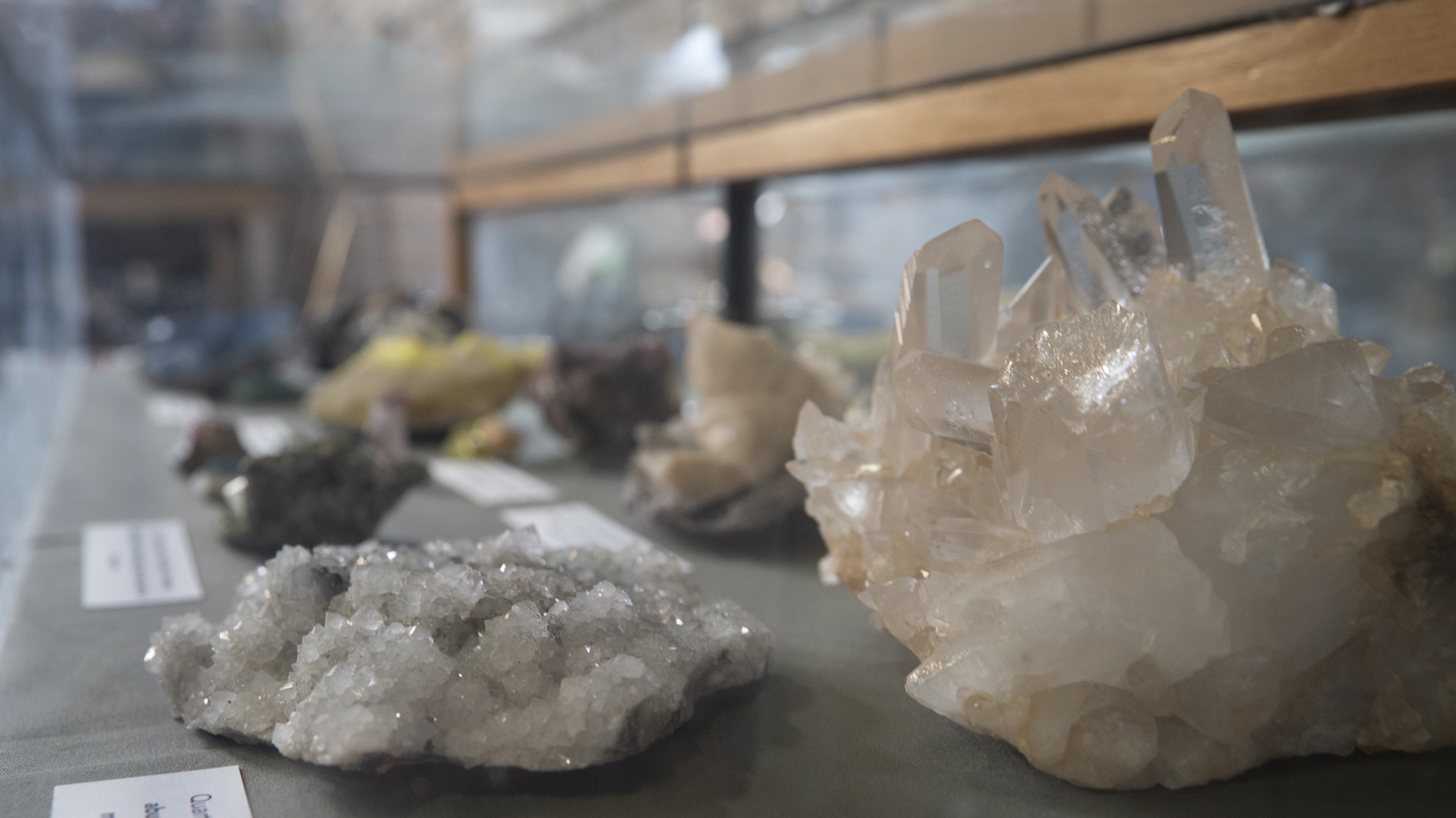 Quartz samples are among the pieces from the University of La Verne’s Cultural & Natural History Collections on display as part of an exhibit at the L.A. County Fair.