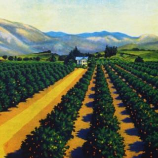 University of La Verne Receives $500,000 Gift from Citrus Roots – Preserving Citrus Heritage Foundation