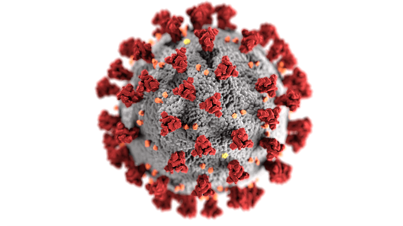 coronavirus image