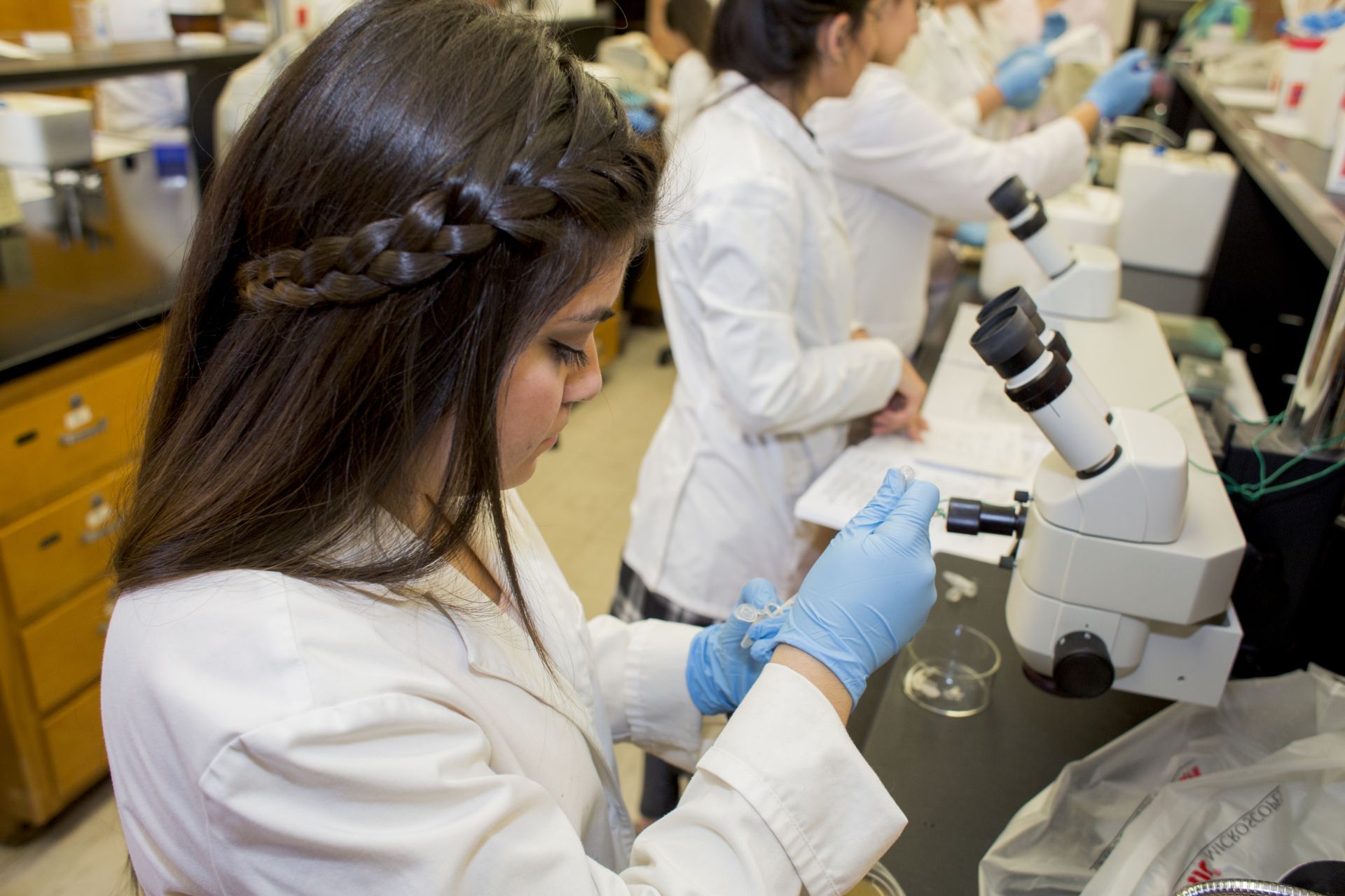 Young woman working in biology lab and wearing blue gloves