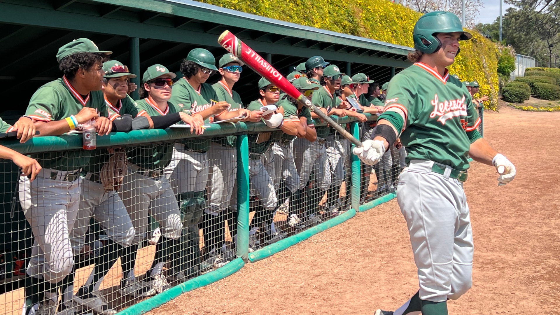 Leopards baseball team standing in the dugout, hitter up to bat